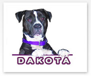Dakota Our Friendly Greeter